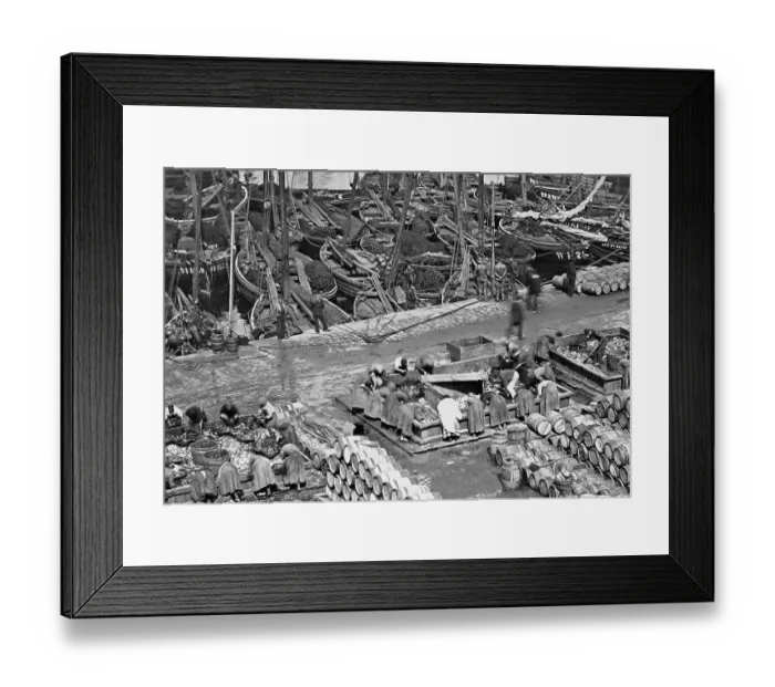 Framed Print : Wick Harbour Herring Boats Scotland Victorian period Framed Print : Wick Harbour Herring Boats Scotland Victorian period