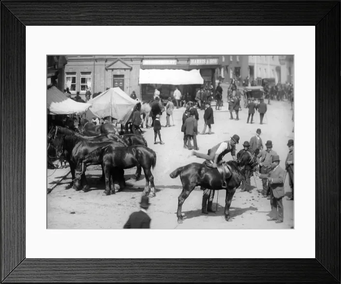 Framed Print : Rugeley Horse fair Victorian period Framed Print : Rugeley Horse fair Victorian period