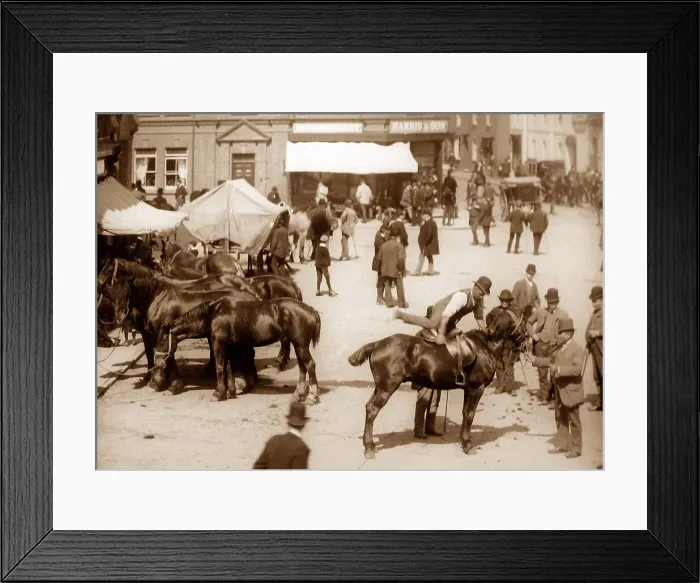 Framed Print : Rugeley Horse Fair Framed Print : Rugeley Horse Fair