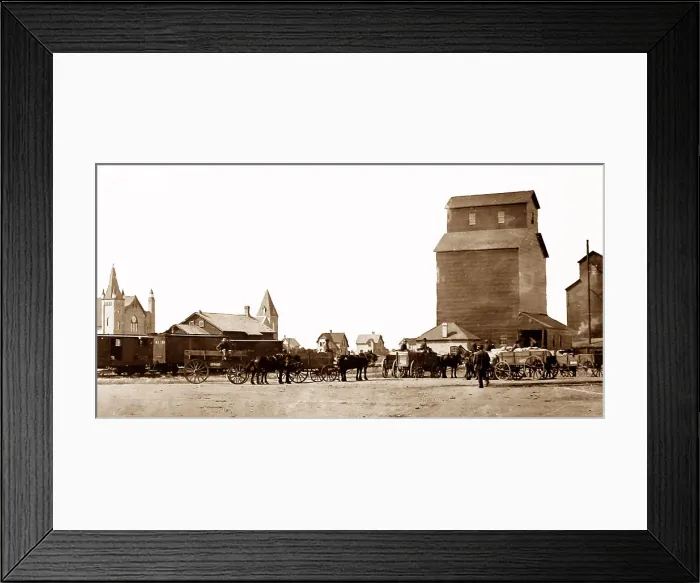 Framed Print : Loading grain on the Canadian Prairies, early 1900s Framed Print : Loading grain on the Canadian Prairies, early 1900s