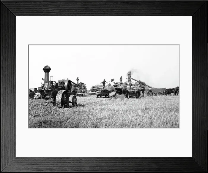 Framed Print : Threshing on the Prairies, Canada Framed Print : Threshing on the Prairies, Canada