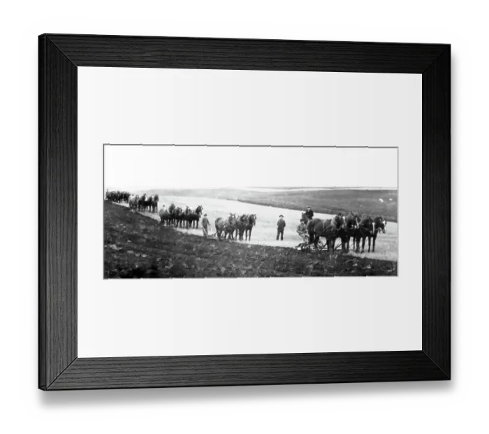 Framed Print : Ploughing on the Prairies, Canada Framed Print : Ploughing on the Prairies, Canada