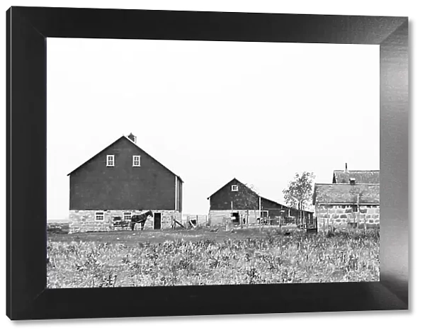 A farm on the Canadian Prairies, early 1900s