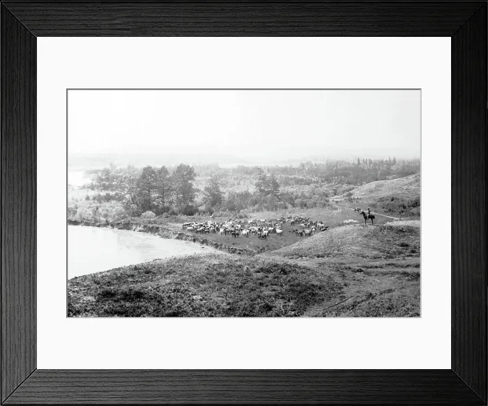 Framed Print : A horse coral on the Elbow River, Alberta, Canada Framed Print : A horse coral on the Elbow River, Alberta, Canada
