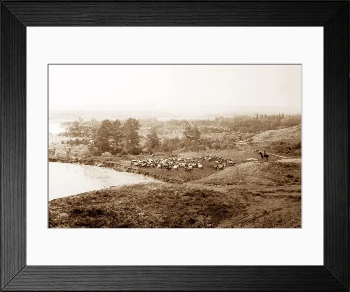 Framed Print : Horse Coral, Elbow River, Alberta, Canada Framed Print : Horse Coral, Elbow River, Alberta, Canada