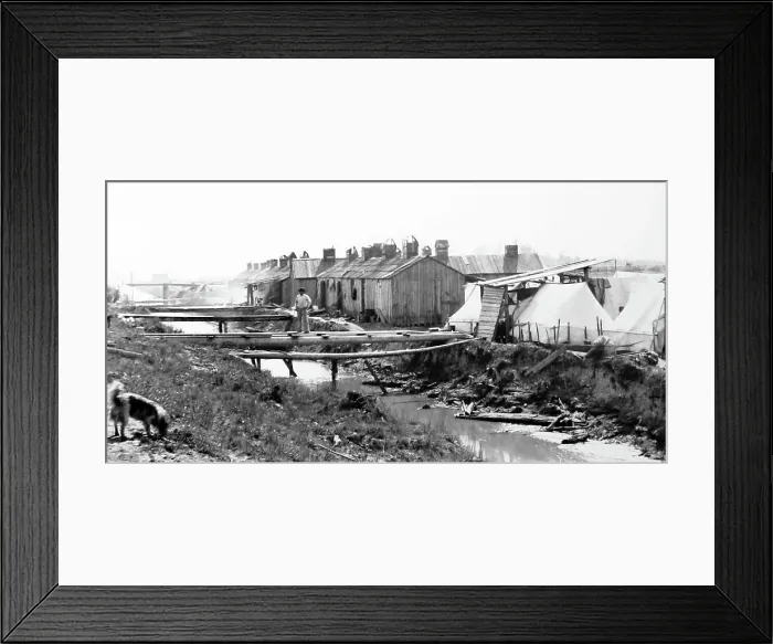 Framed Print : A Salmon canning camp, British Columbia, Canada, early 1900s Framed Print : A Salmon canning camp, British Columbia, Canada, early 1900s