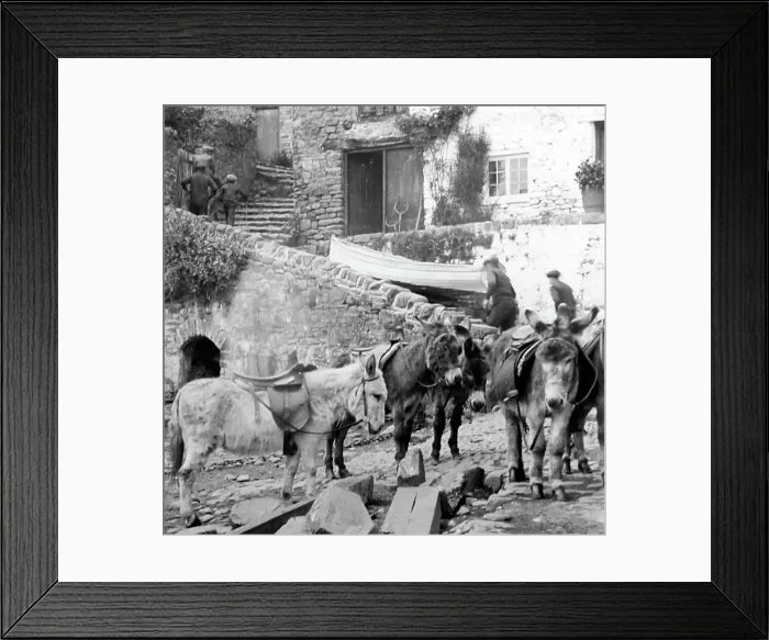 Framed Print : Donkeys on the beach, Clovelly, early 1900s Framed Print : Donkeys on the beach, Clovelly, early 1900s