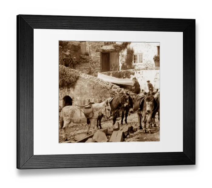 Framed Print : Clovelly donkeys Framed Print : Clovelly donkeys