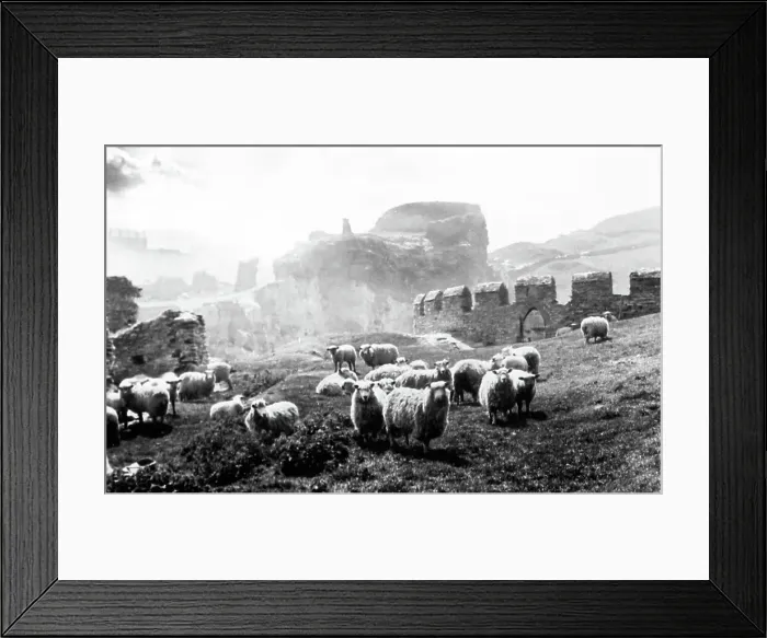 Framed Print : Tintagel Castle, early 1900s Framed Print : Tintagel Castle, early 1900s