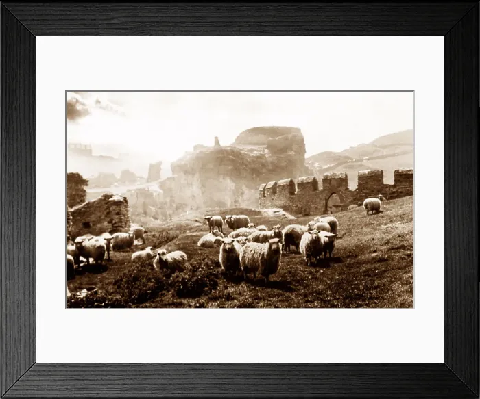Framed Print : Tintagel Castle Framed Print : Tintagel Castle