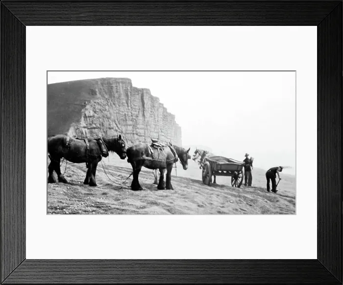 Framed Print : Collecting gravel, Bridport Framed Print : Collecting gravel, Bridport