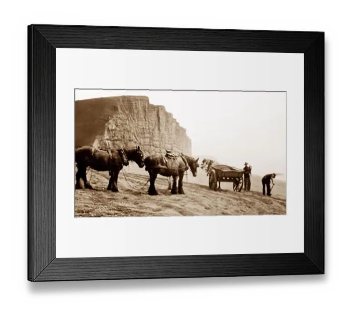 Framed Print : Collecting gravel from West Bay, Bridport, early 1900s Framed Print : Collecting gravel from West Bay, Bridport, early 1900s
