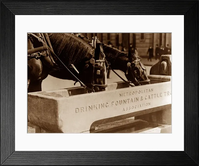 Framed Print : London horse trough Framed Print : London horse trough