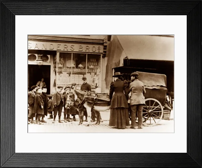 Framed Print : Donkey cart, London, early 1900s Framed Print : Donkey cart, London, early 1900s
