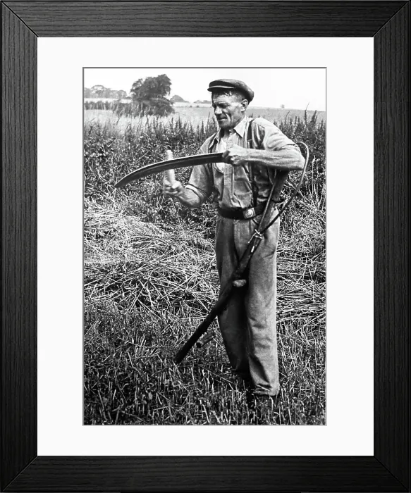 Framed Print : Sharpening his scythe, early 1900s