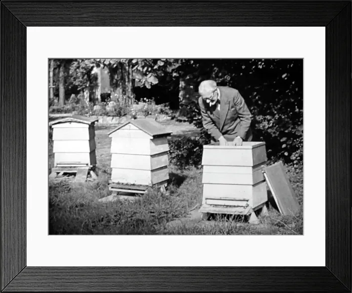 Framed Print : Bee keeper Framed Print : Bee keeper
