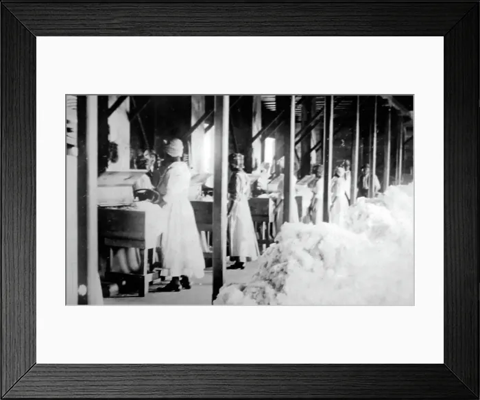 Framed Print : Central cotton Ginnery in St Vincent early 1900s Framed Print : Central cotton Ginnery in St Vincent early 1900s