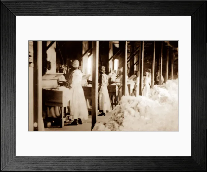 Framed Print : Central cotton ginnery, St Vincent, Caribbean Framed Print : Central cotton ginnery, St Vincent, Caribbean
