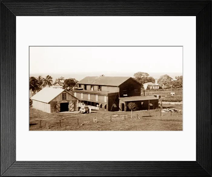 Framed Print : Central cotton ginnery, St Vincent, Caribbean Framed Print : Central cotton ginnery, St Vincent, Caribbean