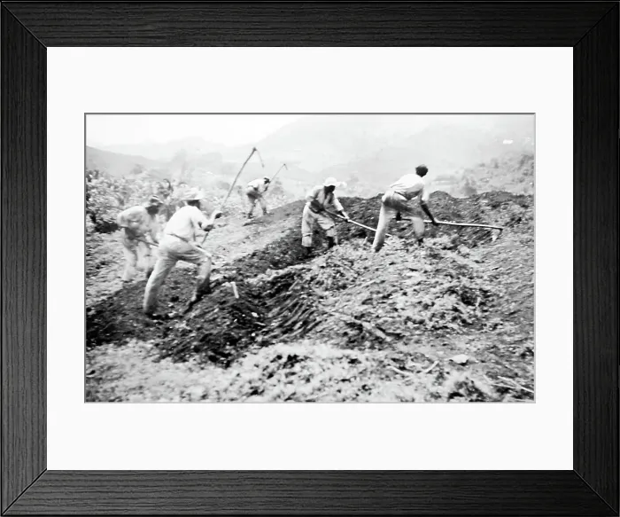 Framed Print : Banking sand in St Vincent early 1900s Framed Print : Banking sand in St Vincent early 1900s