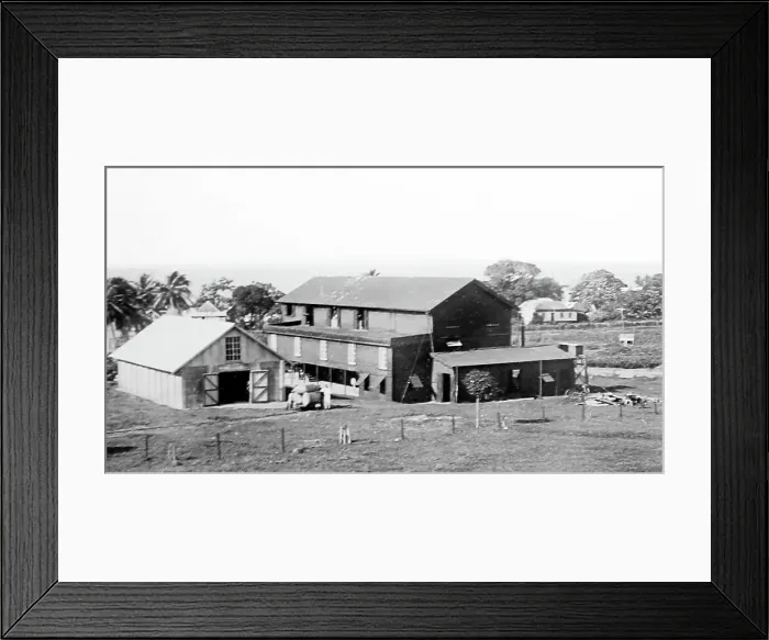 Framed Print : Central cotton Ginnery in St Vincent early 1900s Framed Print : Central cotton Ginnery in St Vincent early 1900s