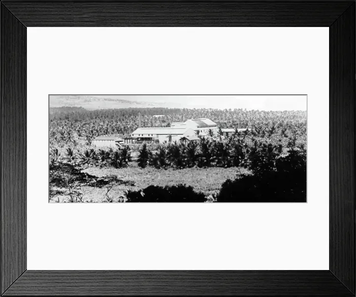 Framed Print : Sugar factory, St. Mary, Jamaica, early 1900s Framed Print : Sugar factory, St. Mary, Jamaica, early 1900s