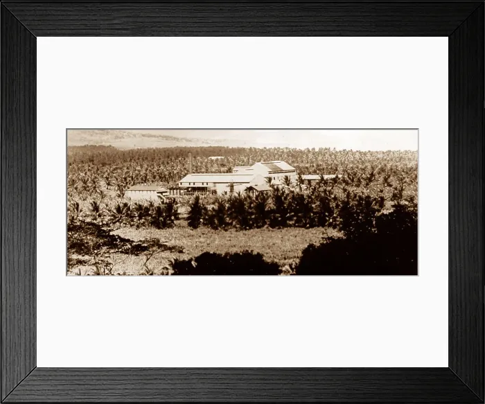 Framed Print : St Mary sugar can factory, Jamaica