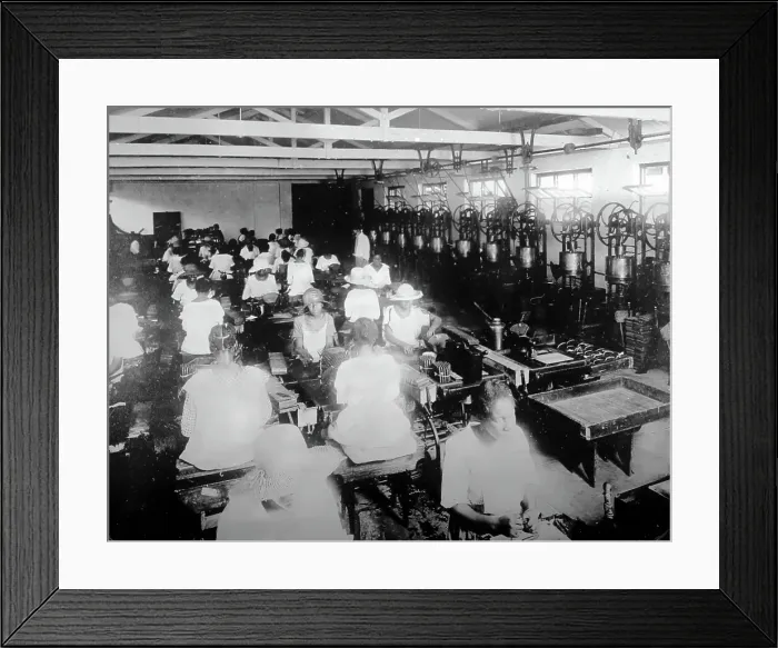 Framed Print : Cigar factory, Kingston, Jamaica, early 1900s Framed Print : Cigar factory, Kingston, Jamaica, early 1900s