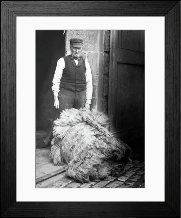 Framed Print : Linen manufacture, bale of rough flax Framed Print : Linen manufacture, bale of rough flax