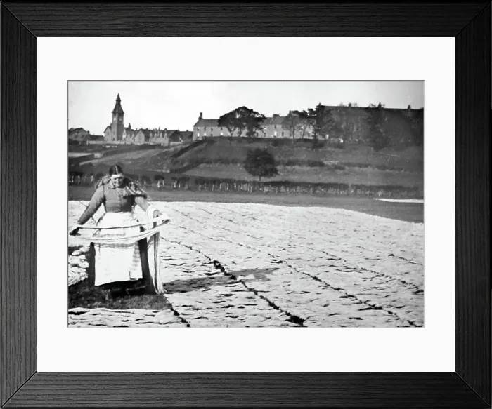Framed Print : Linen manufacture, Yarn bleaching on grass Framed Print : Linen manufacture, Yarn bleaching on grass