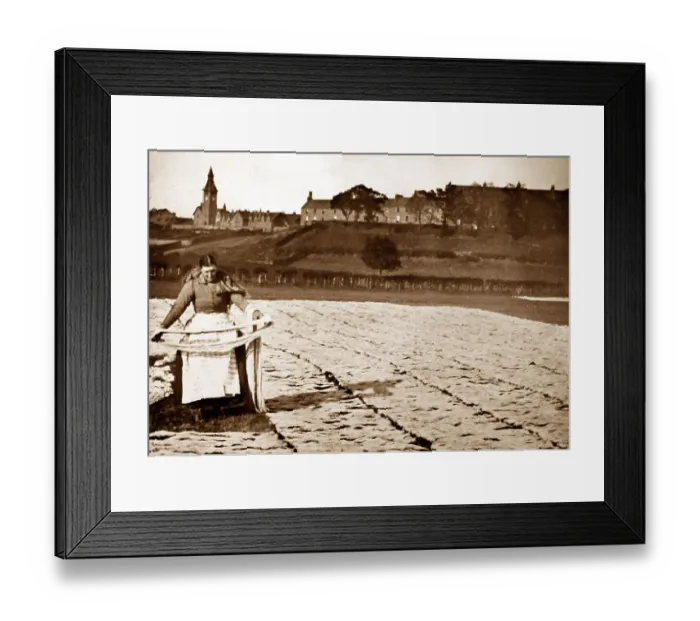 Framed Print : Bleaching yarn on grass, linen production, Victorian period Framed Print : Bleaching yarn on grass, linen production, Victorian period