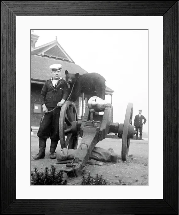 Framed Print : Sailor with pet bear on Whale Island Royal Navy Framed Print : Sailor with pet bear on Whale Island Royal Navy