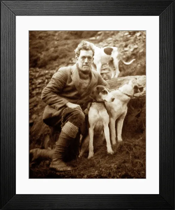 Framed Print : man with foxhounds Framed Print : man with foxhounds