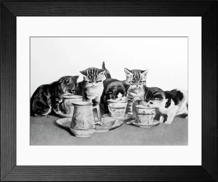 Framed Print : cats tea party Framed Print : cats tea party