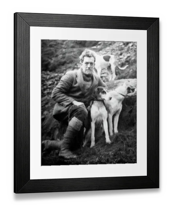 Framed Print : man with foxhounds Framed Print : man with foxhounds