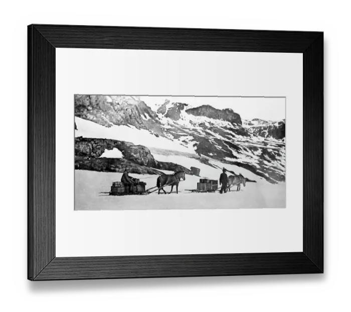 Framed Print : Sledge transport in Norway Framed Print : Sledge transport in Norway
