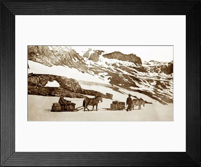 Framed Print : Sledge transport in Norway Framed Print : Sledge transport in Norway