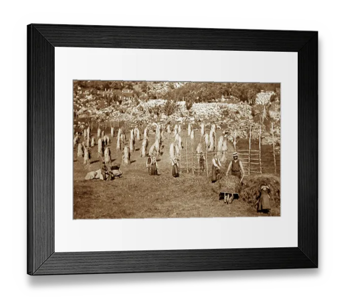 Framed Print : Haymaking in Indal, Gjovik, Norway Framed Print : Haymaking in Indal, Gjovik, Norway