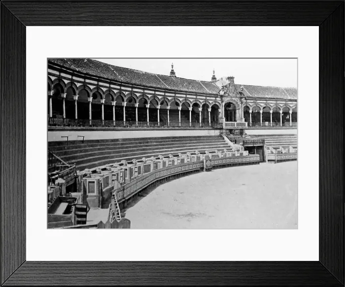 Framed Print : bull ring seville spain Framed Print : bull ring seville spain