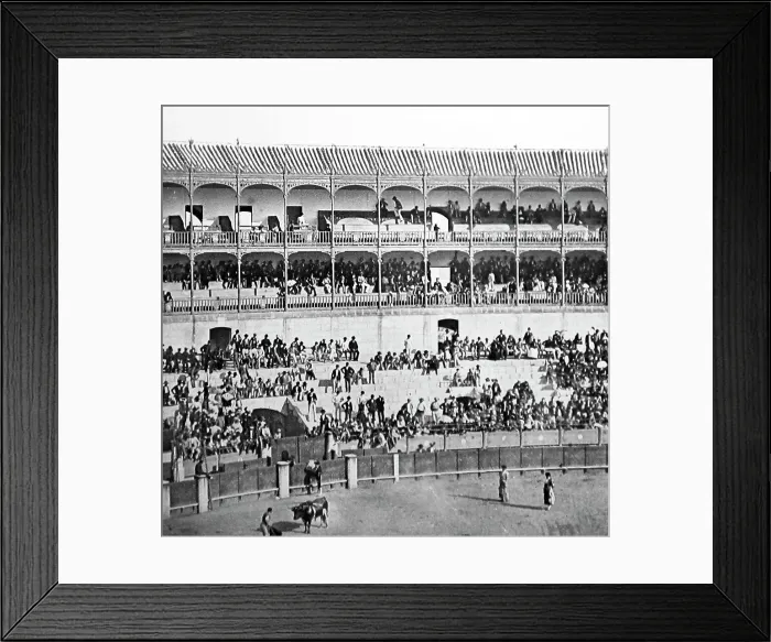 Framed Print : bull fight seville spain Framed Print : bull fight seville spain