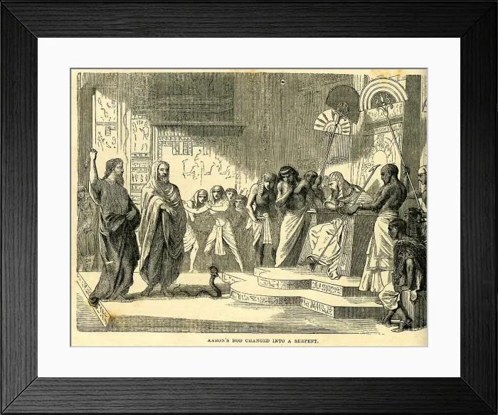 Framed Print : Aaron's Rod Changed Into A Serpent Framed Print : Aaron's Rod Changed Into A Serpent