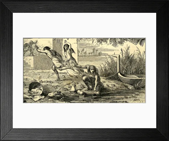 Framed Print : Plague of Frogs - Egypt Framed Print : Plague of Frogs - Egypt