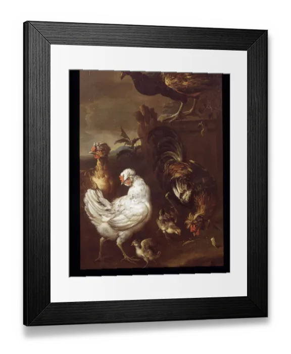 Framed Print : Chickens, Game Birds