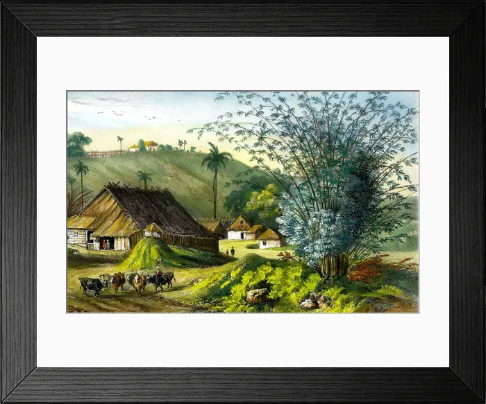 Framed Print : Singapore Framed Print : Singapore