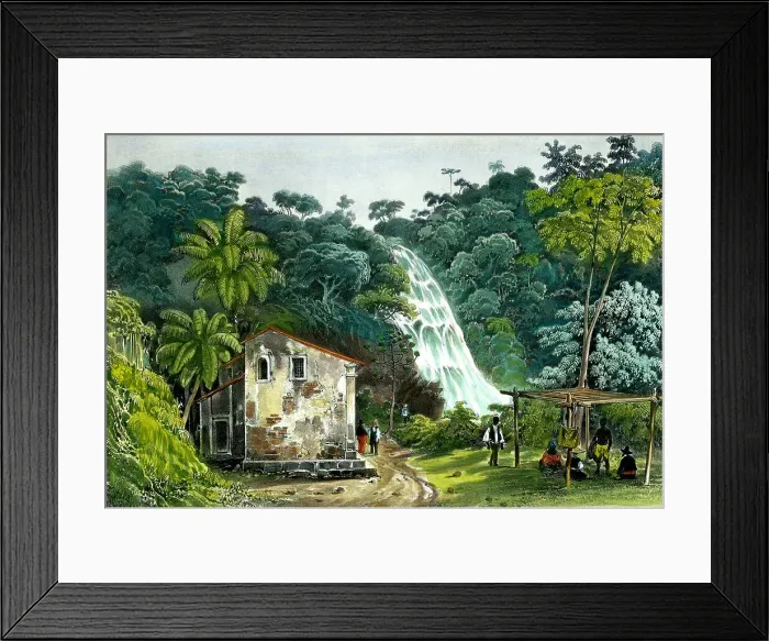 Framed Print : Cascade Rio De Janeiro, Basil Framed Print : Cascade Rio De Janeiro, Basil