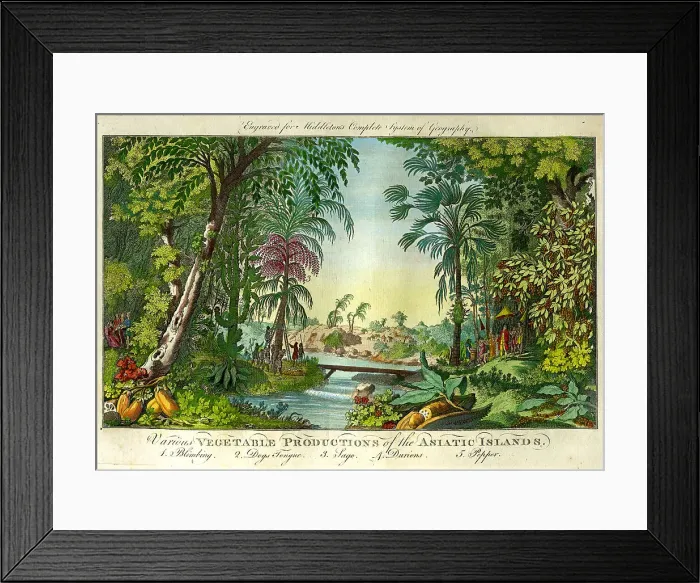 Framed Print : Vegetable Productions of The Atlantic Islands Framed Print : Vegetable Productions of The Atlantic Islands
