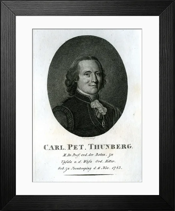 Framed Print : Carl Pet Thunberg - Botanist Framed Print : Carl Pet Thunberg - Botanist