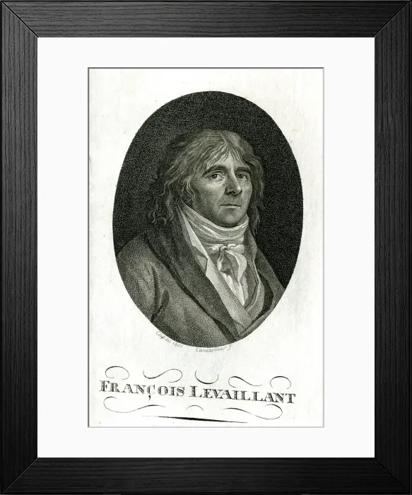Framed Print : Francois Le Vaillant - Traveller and Engraver Framed Print : Francois Le Vaillant - Traveller and Engraver