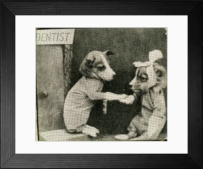 Framed Print : Cute Puppies: Dentist Framed Print : Cute Puppies: Dentist