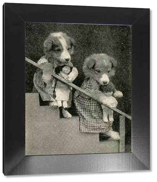 Cute Puppies: With Dolls